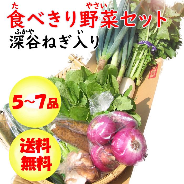 野菜セット5-7 ネギ入り