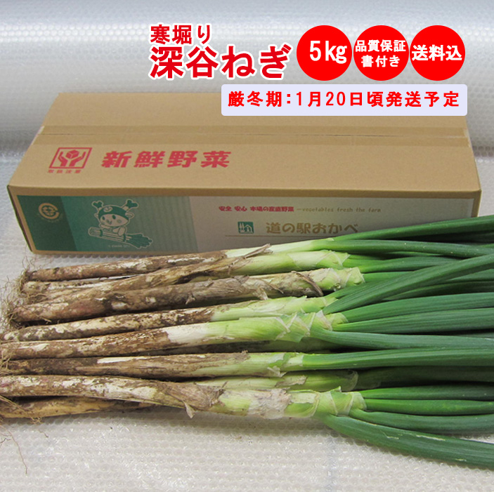 寒掘り深谷ねぎ 5Kg 贈答用