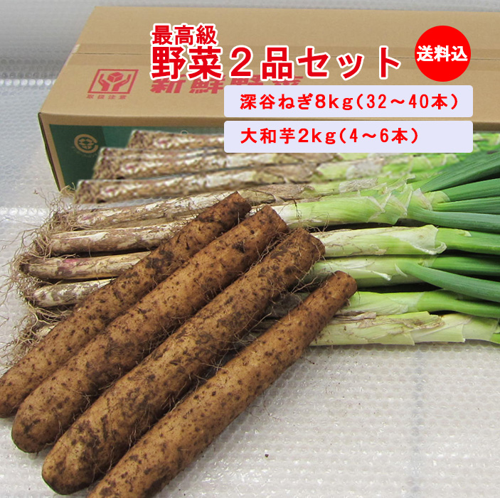 野菜２品１０ｋｇセット 【深谷ねぎ8Kg大和芋2Kg