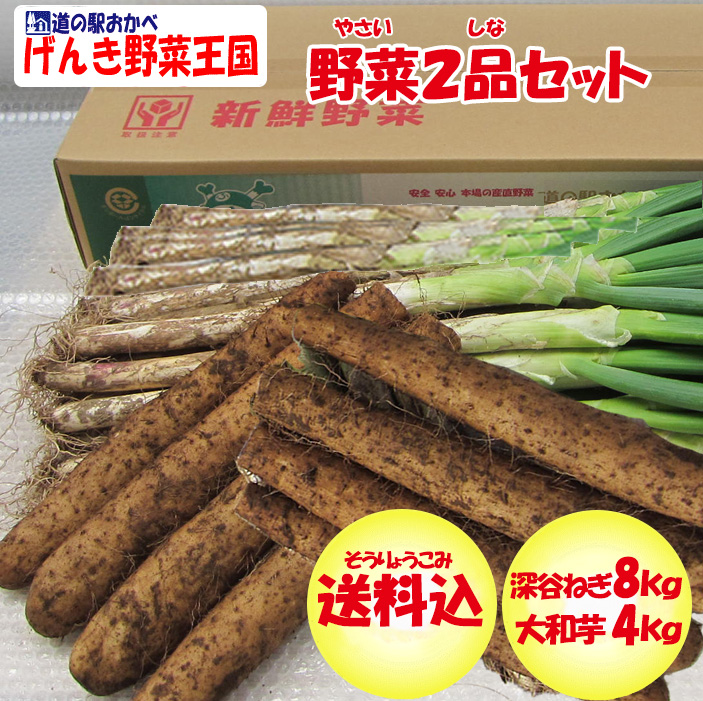 【冬ギフト】野菜２品12kgセット