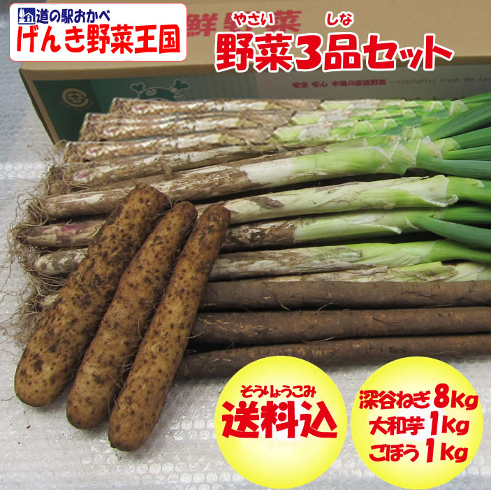 野菜３品セット（ねぎ8kg、大和芋1kg、ごぼう1kg）