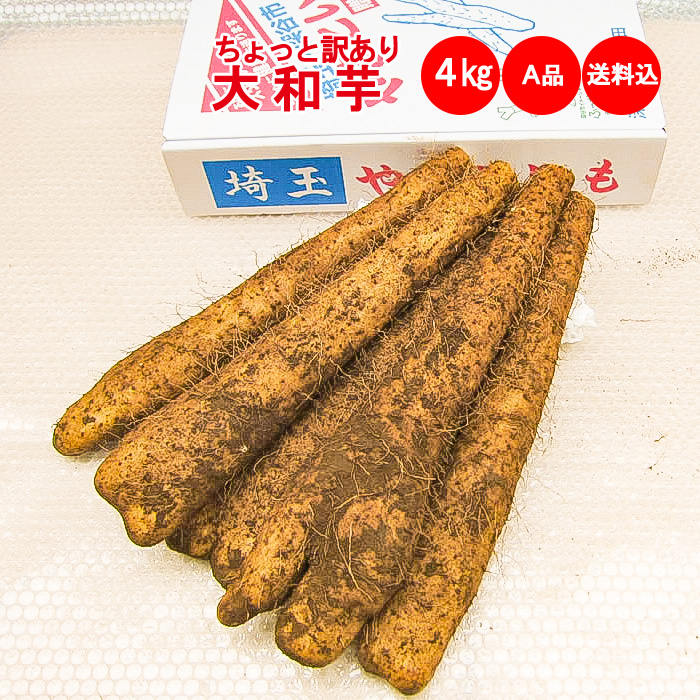 本場 大和芋4Kg A品