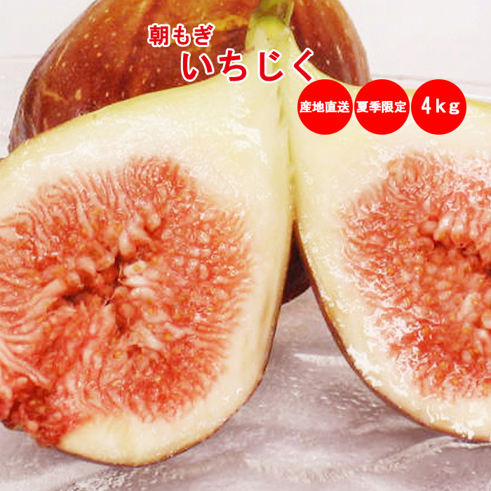 朝もぎいちじく 4Kg 10パック