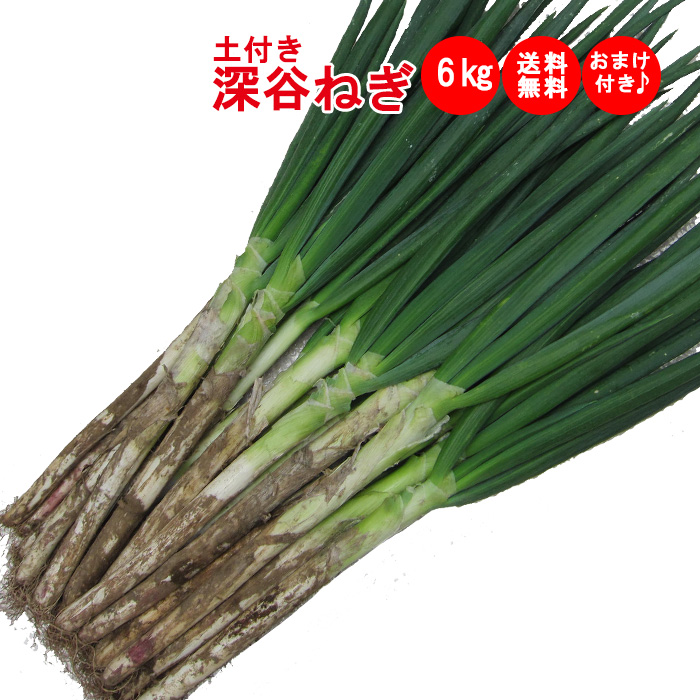 土付き深谷ネギ6kg【おまけ付】【送料無料】