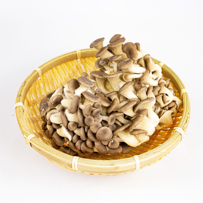 菌床（きんしょう）しめじ 約200g