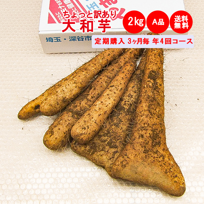 2KgA品：ちょっと訳あり定期購入4回コース【送料無料】