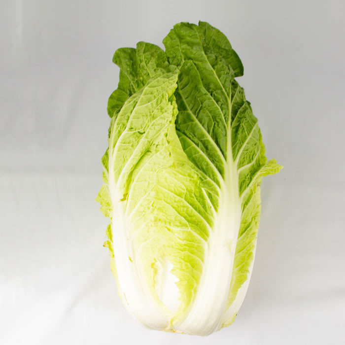 はくさい Lサイズ 1玉 1.8kg以上