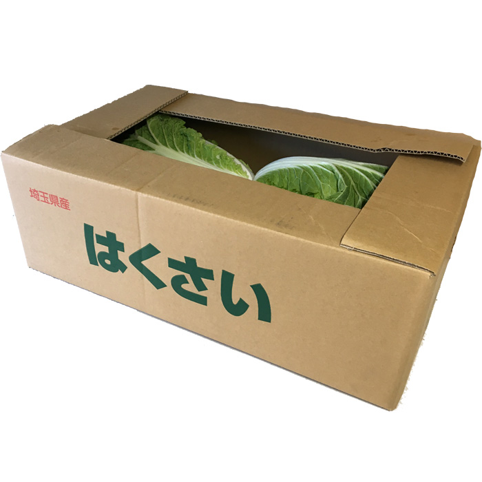 はくさい Lサイズ 4玉 1.8kg以上玉 箱売り