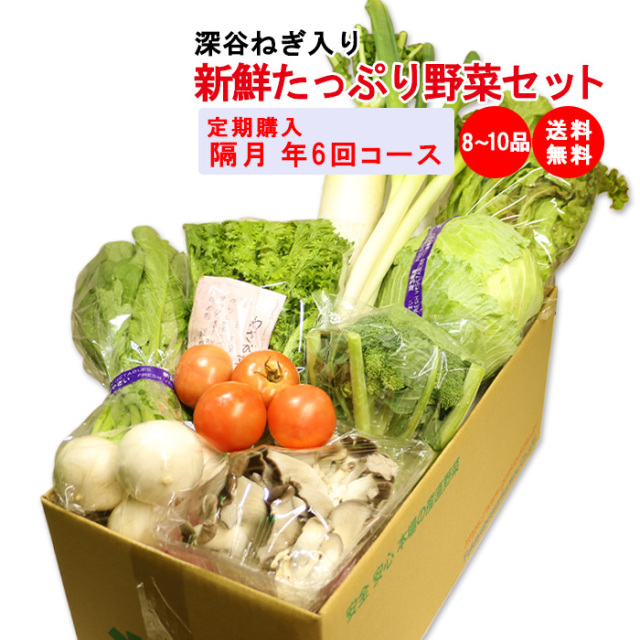 【定期購入・定期便】新鮮たっぷり野菜セット 8～10品目（深谷ねぎ入り）