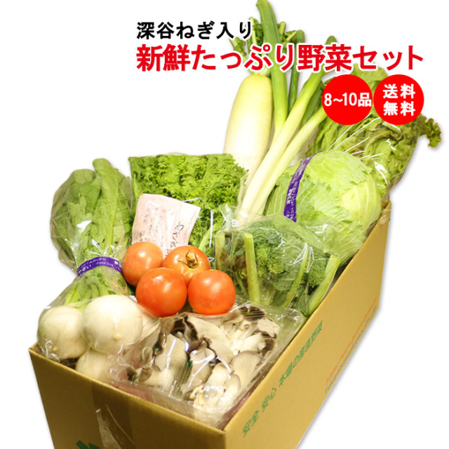 新鮮たっぷり野菜セット 8～10品目（深谷ねぎ入り）