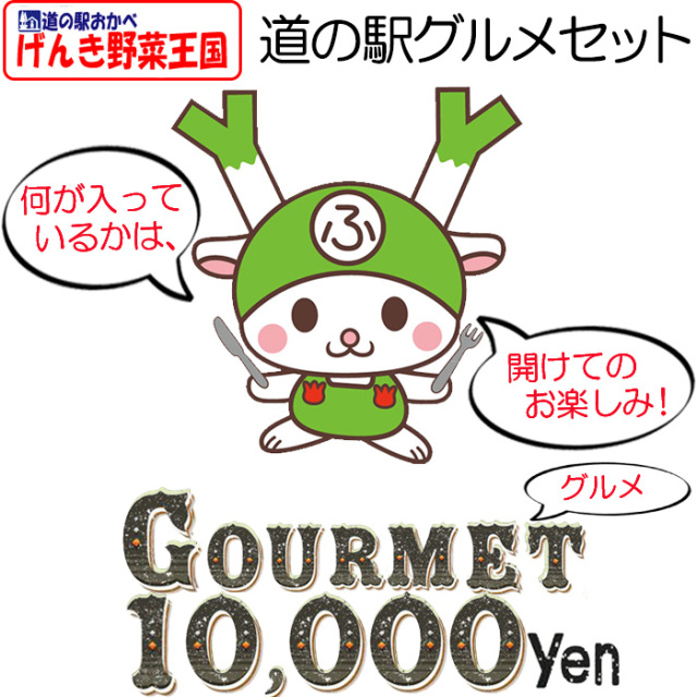 道の駅セット10000