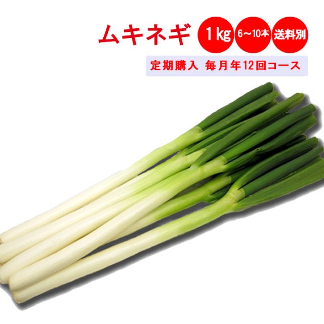 【定期購入・定期便】深谷ねぎむきねぎ1kg L/Mサイズ（約6～10本）定期購入【毎月 年12回コース 送料別 常温発送／クール便（気温によって配送方法変更）】