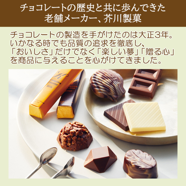 芥川製菓オールチョコレート300g