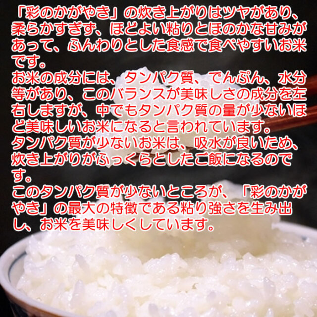 白米　20kg 彩のきずな　新米　埼玉県産　令和4年産　送料無料　米　20キロ