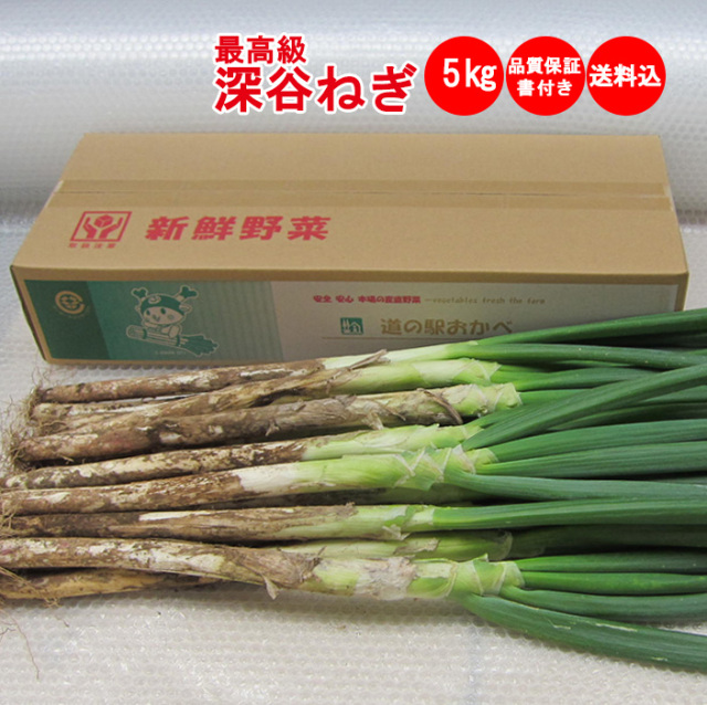 冬ギフト】深谷ねぎ 5Kg 送料込み 贈答用【発送期日：11月下旬から発送
