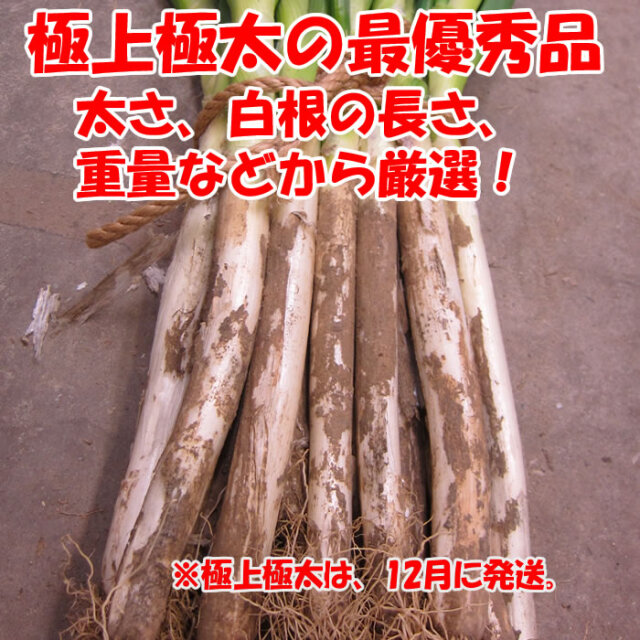 極みプレミアム