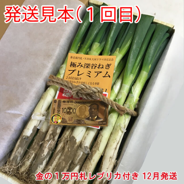冬ギフト】極み深谷ねぎ プレミアム 送料込み 贈答用【期間限定：12月