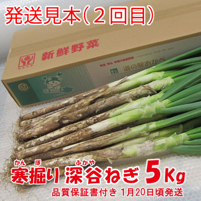 極みプレミアム