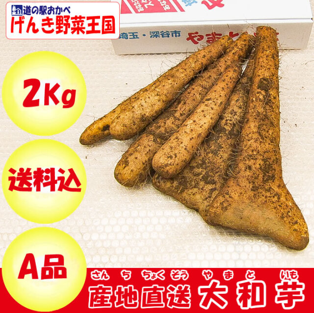 大和芋A品2kg