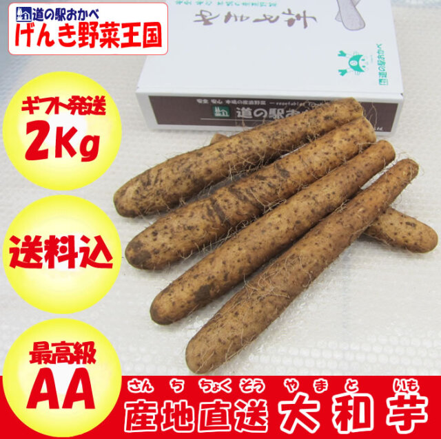 大和芋 AA品 2kg