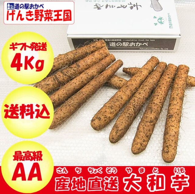 大和芋 AA品 4kg