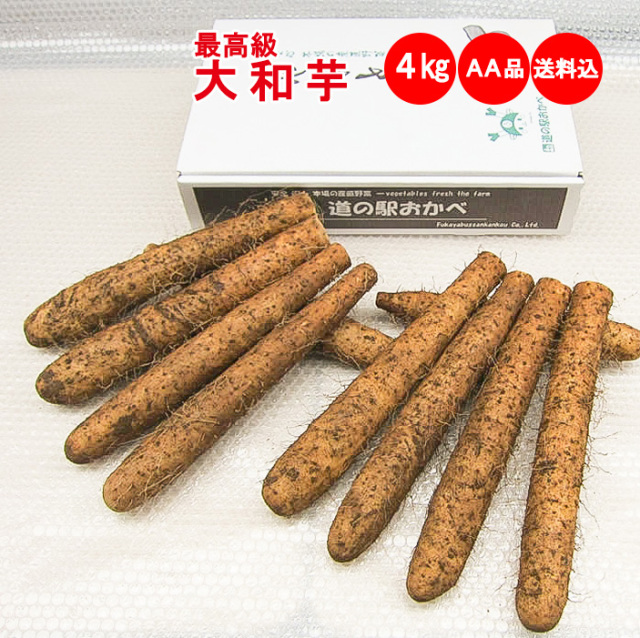 大和芋 4Kg AA品