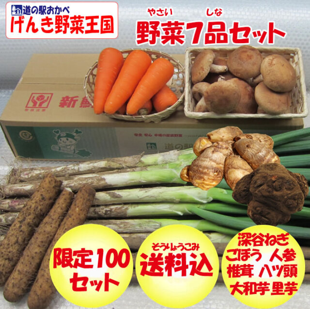 冬ギフト 野菜7品セット 深谷ねぎ 大和芋 ごぼう 人参 椎茸 里芋 八ツ頭 販売期間 12月から発送予定 送料込み 贈答用 冬ギフト 野菜7品セット 深谷ねぎ 大和芋 ごぼう 人参 椎茸 里芋 八ツ頭 販売期間 12月から発送予定 送料込み 贈答用
