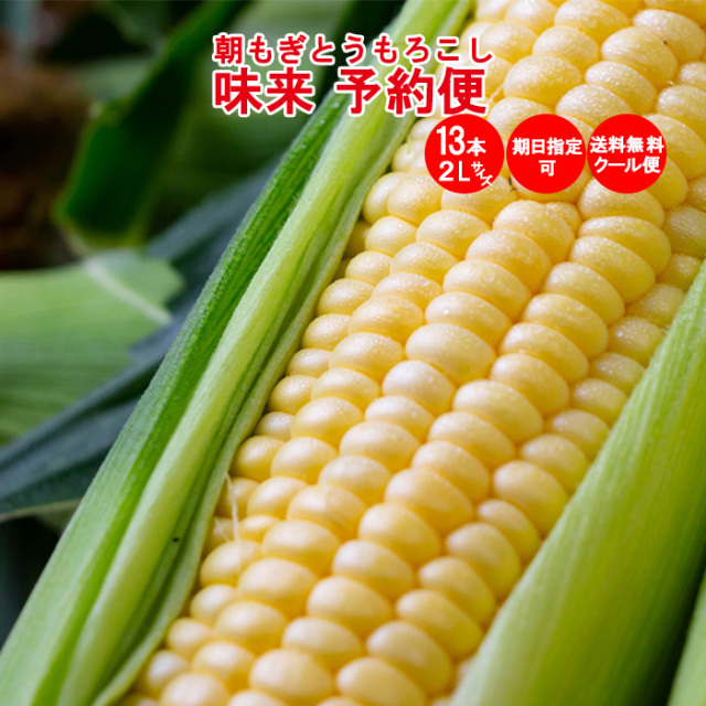 予約便 朝もぎ味来1箱2Lサイズ 13本入り