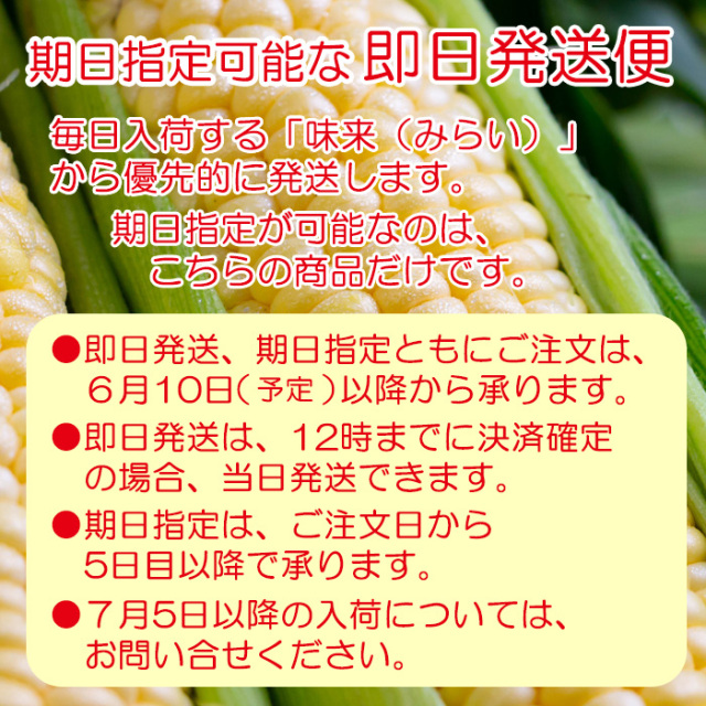 朝もぎとうもろこし味来 即日発送便