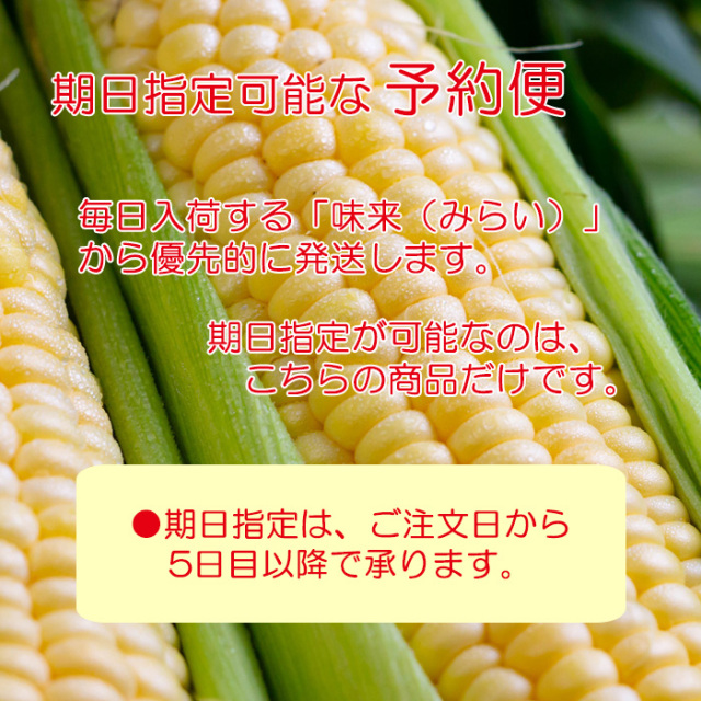 予約便 朝もぎ味来1箱2Lサイズ 13本入り