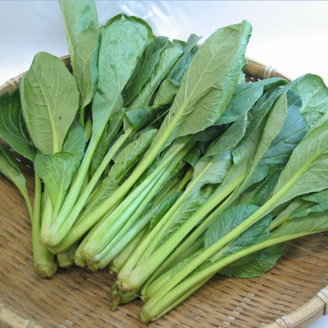 露地小松菜1Kg