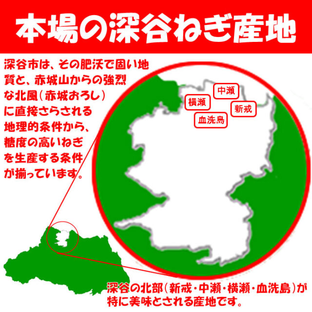 冬ギフト】深谷ねぎ 10Kg 送料込み 贈答用【発送期日：1月中旬頃