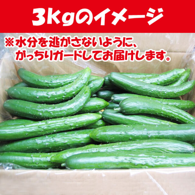 朝どりきゅうり 訳あり 無選別 3kg 深谷産