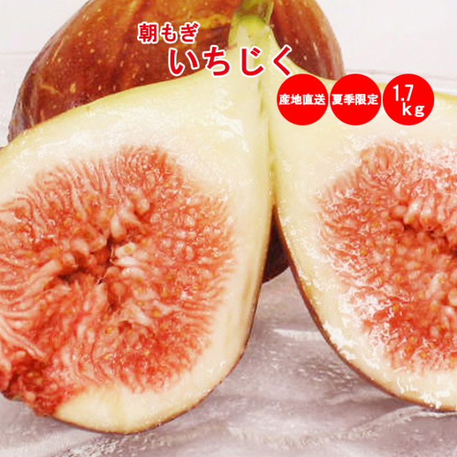 朝もぎいちじく 1.7Kg 4パック 埼玉県産【送料無料 産地直送 夏季限定