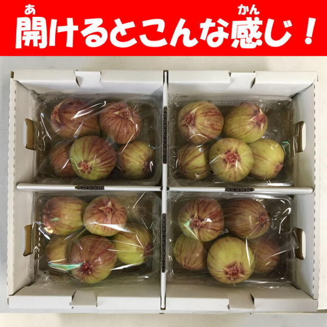 いちじく4パック