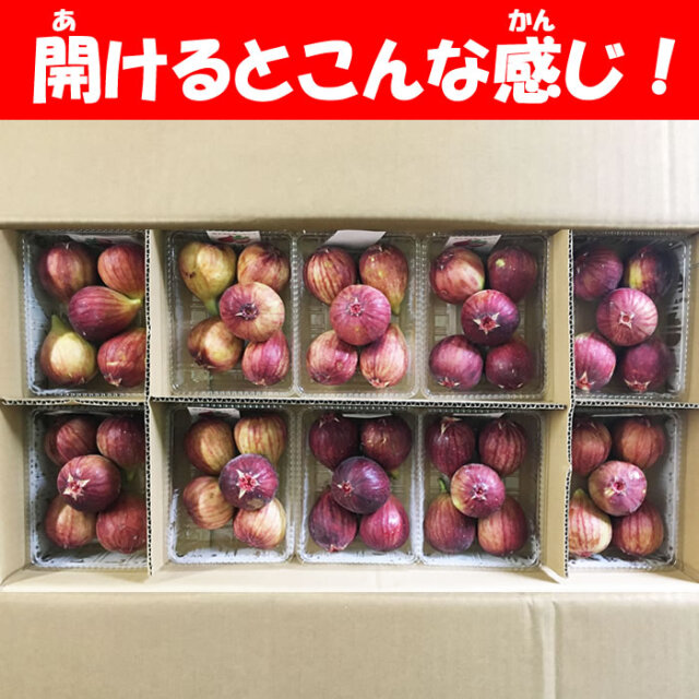 いちじく10パック