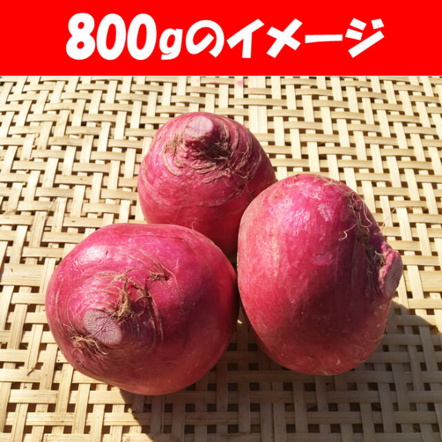 赤かぶ800g