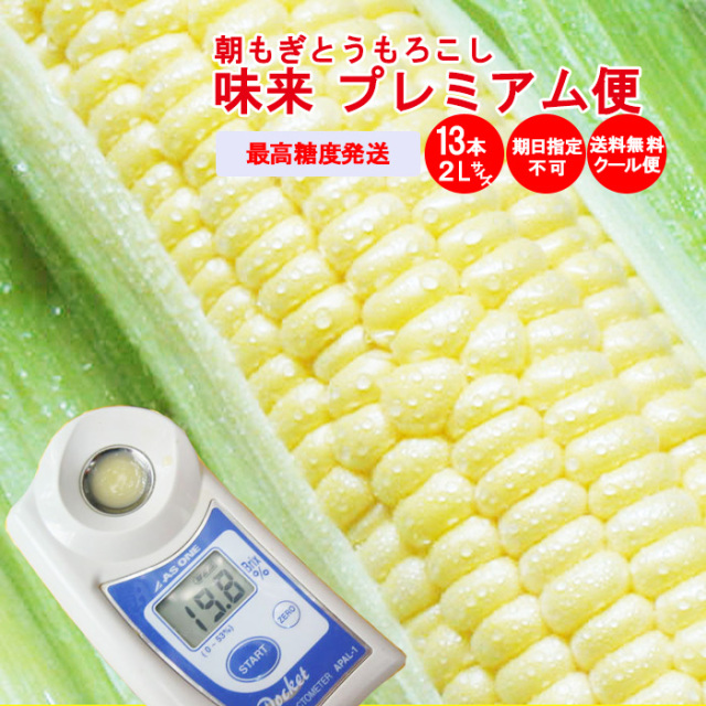 プレミアム便 朝もぎ味来1箱2Lサイズ 13本入り