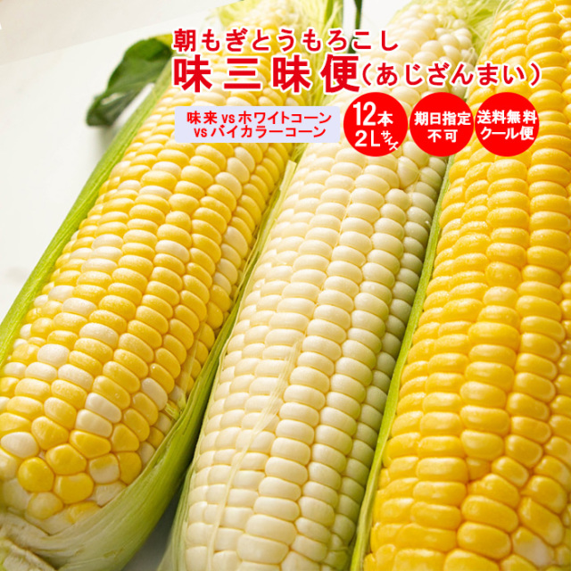味三昧便 味来VSホワイトコーンVSバイカラーコーン