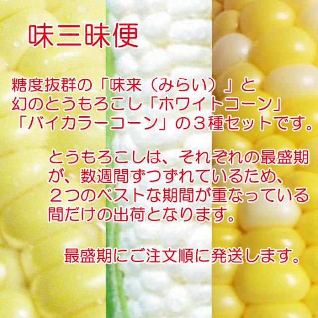 夏ギフト】味三昧便 味来VSホワイトコーンVSバイカラーコーン【産地