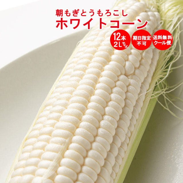 ホワイトコーン便 1箱 12本入り