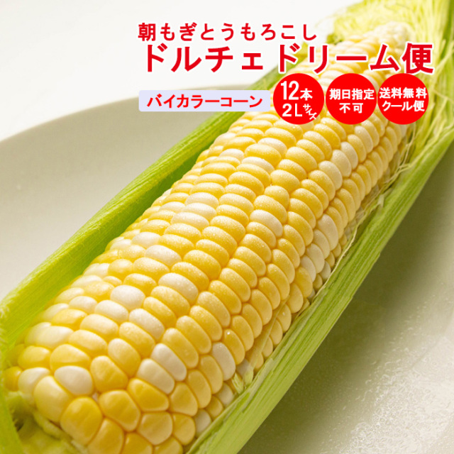 ドルチェドリーム便 バイカラーコーン 12本