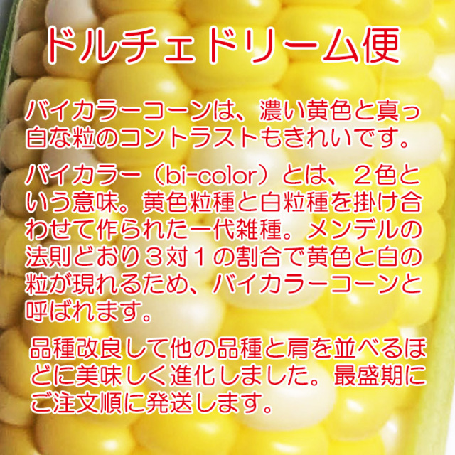 ドルチェドリーム便 バイカラーコーン 12本