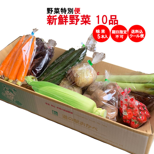 野菜特別便 新鮮野菜 10品