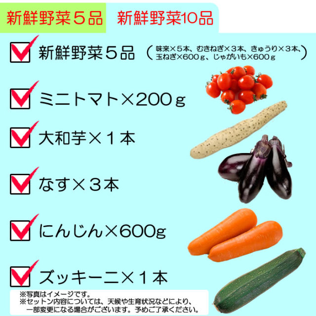 新鮮野菜10品