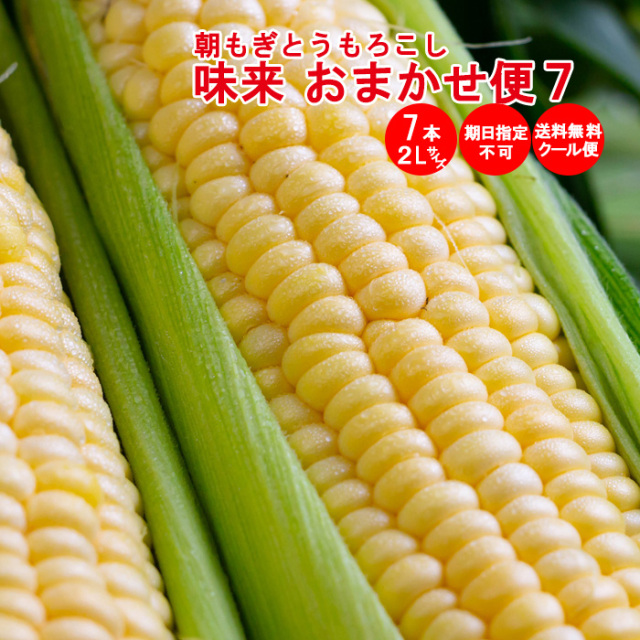 おまかせ便7 朝もぎ味来1箱2Lサイズ 7本入り