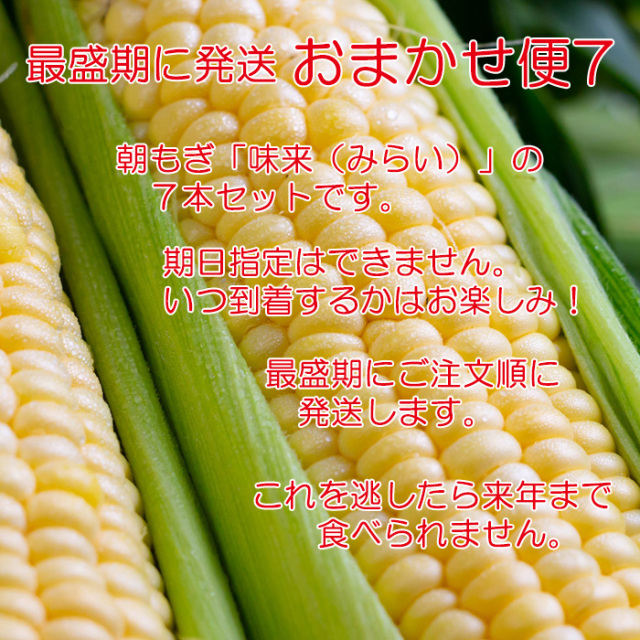 おまかせ便7 朝もぎ味来1箱2Lサイズ 7本入り