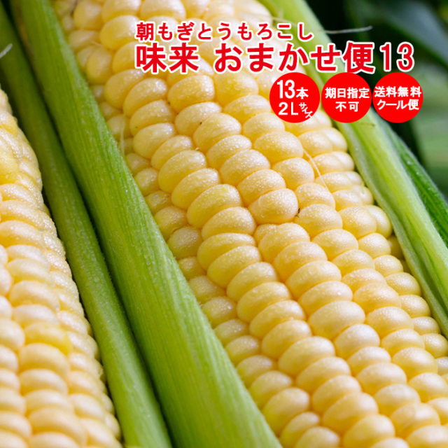 おまかせ便13 朝もぎ味来1箱2Lサイズ 13本入り