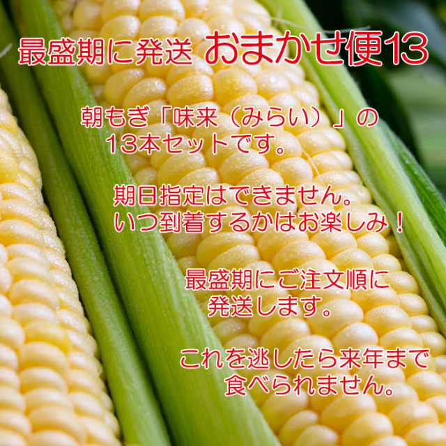 おまかせ便13 朝もぎ味来1箱2Lサイズ 13本入り