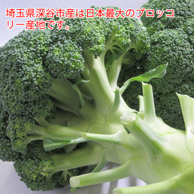 みらブロ便